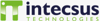 Intecsus Technologies, C.A. Logo