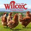 Wilcox Family Farms Logo