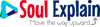 SOUL EXPLAIN LLC Logo