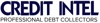 Credit Intel Logo