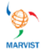 Marvist Consulting LLC Logo