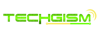 Techgism Logo