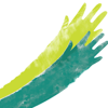 DigiSap Logo