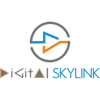 Digital SKYLINK Logo