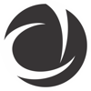 Digital Cusp Logo