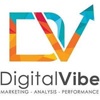 DigitalVibe Logo