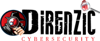 Direnzic Technology & Consulting, LLC Logo