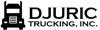 Djuric Trucking, Inc Logo