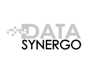 Data Synergo Sdn Bhd Logo