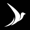 Qales Translation Services Logo