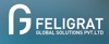 Feligrat Global Solutions Pvt. Ltd. Logo