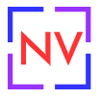 New View Strategies Logo