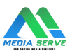 media serve Logo