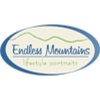 Endless Mountains Studios Logo