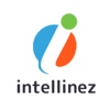 Intellinez Systems Logo