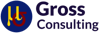 Christopher Gross Consulting Logo