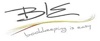 BIE Bookkeeping Logo