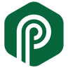 Palm and Pine Logo