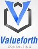 VALUEFORTH CONSULTING Logo