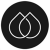 ModernWords Translation Studio Logo