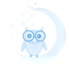 Night Owl Transcription Services Logo
