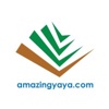 Amazing Yaya Logo