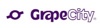 Xian GrapeCity I.T. Inc. Logo