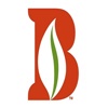 Bailey Land Group Logo