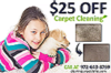 Cleaning Carpet Dallas Logo
