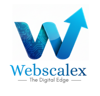 WebScaleX Logo