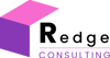 R Team Consulting Logo
