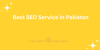 SEO Services Pakistan Logo