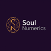 Soul Numerics Logo