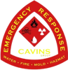 Cavins Group Logo