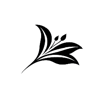 Black Lily Logo