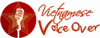 VNVO Studio Logo