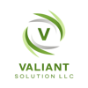Valiant Solutoin LLC Logo