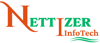 Nettizer Infotech Logo