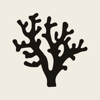 Coral Tree Logo