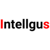 Intellgus - Outsourced and Offshore Accounting Solutions Logo
