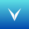 Visla Solutions Logo