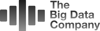 The Big Data Company Logo