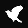 Blackbird Logo
