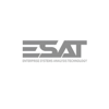 Enterprise Systems Analysis Technology - L.L.C. - S.P.C. Logo