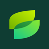 Saira Systems Logo
