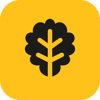 AZE IT Logo