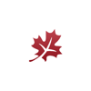 InnoLogiciel Logo
