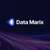 DataMarix Logo