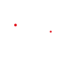 IPS Srl Logo