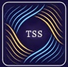 techsynergysources LLC Logo